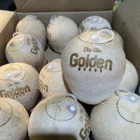 Coconut Whole/ Dừa Xiêm